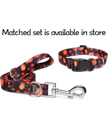 Suredoo Adjustable Soft Nylon Dog Collar for Small & Medium Dogs Comfort Fit Pumpkin Color (S: 25-40 cm) - Buy Online on GoSupps.com