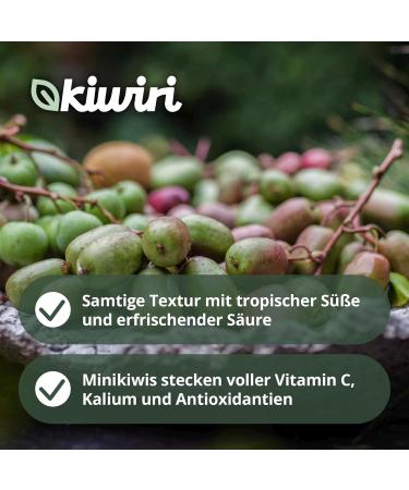  KIWIRI Kiwiri 's Jus de kiwiberry direct | 100% fruit content | German kiwi/minikiwis fruit juice (12 x 0.2 l) - Buy Online on GoSupps.com