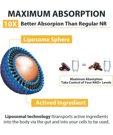 Orgabay Liposomal Nicotinamide Riboside 2000 MG with TMG and Pterostilbene | NAD+ Support for Healthy Aging | 480 Count 30.0 Servings | Pack of 1 - Buy Online on GoSupps.com