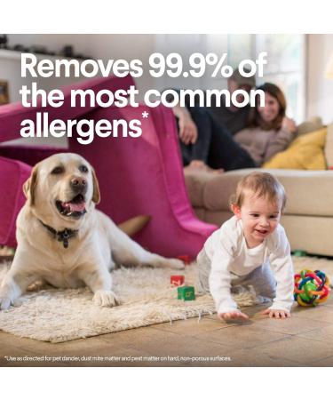 Clorox Disinfecting Wipes Value Pack - 225 Count, Bleach Free, Pack of 3 - Buy Online on GoSupps.com