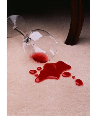 Scotchgard Rug & Carpet Protector 14-Ounce Can - Stain and Spill Protection - Buy Online on GoSupps.com