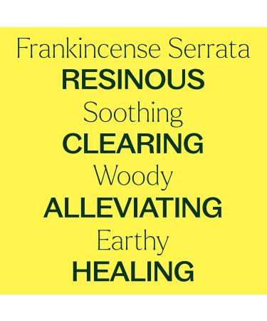 Buy Organic Frankincense Serrata Essential Oil - 100% Pure USDA Certified Undiluted Aromatherapy - 100 mL - International Shipping Available - Buy Online on GoSupps.com