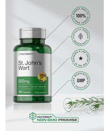 Horb ach St John's Wort Capsules 300mg | 120 Count | Non-GMO Gluten Free | Herbal Extract - Buy Online on GoSupps.com