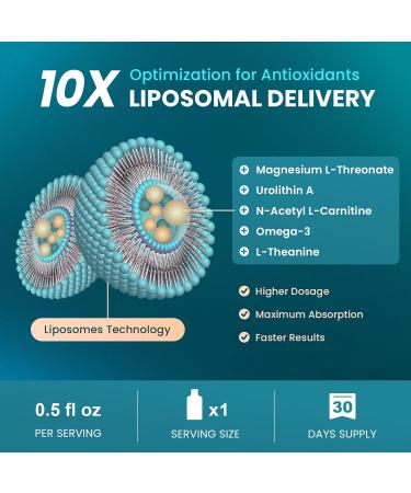 MEGNETA Magnesium L-Threonate Liquid, 2000mg Magnesium L-Threonate, Liposomal for High Absorption, with Urolithin A, N-Acetyl L-Carnitine & Omega-3, Brain, Memory, Focus & Sleep Support, 30 Pouches - Buy Online on GoSupps.com