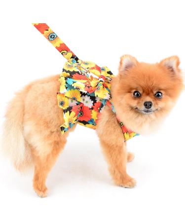 Paidful Dog Harness Dress for Small Dogs & Cats | Colorful Flower Tutu Breathable Mesh Pet Clothing with 1.6m Leash | Ideal for Mini Puppies Chihuahua & Yorkie - Spring/Summer Orange - Buy Online on GoSupps.com