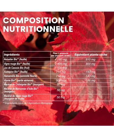 Organic Santarome - Light Legs | Circulation Food Supplement | Heavy Swollen or Painful Legs - Herbal - Red Vine Hazel | 20 Bulbs | Made In France | Vegan - Buy Online on GoSupps.com