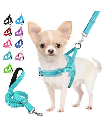 Eyein no-pull dog harness with a leash dishes with soft padded reflective adjustable breast dishes for puppies small dogs large dogs pets cats (blue-green XS) blue-green XS - Buy Online on GoSupps.com