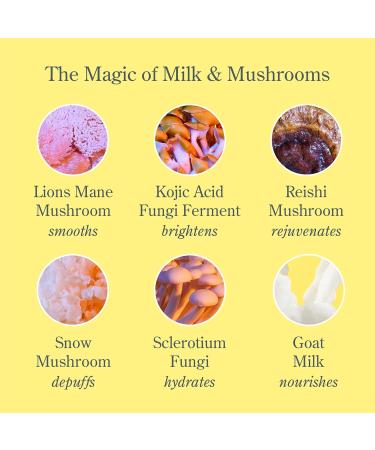 Beekman 1802 Mushroom Milk Eye Cream - Anti-Aging Fragrance-Free Reduces Fine Lines & Dark Circles - Goat Milk Hexapeptide & Mushroom Formula - Sensitive Skin Cruelty-Free - 0.5 fl oz - Buy Online on GoSupps.com