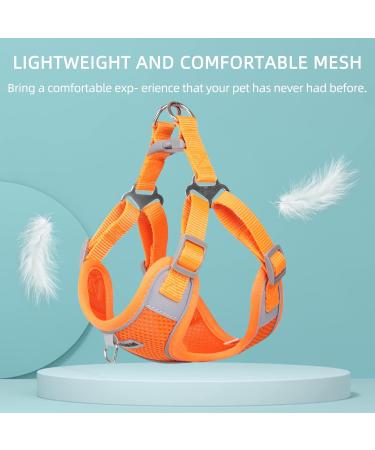 Rennaio No Pull Dog Harness & Leash Set - Adjustable Breathable Padded for Small & Medium Dogs - Pumpkin Color (M) - Buy Online on GoSupps.com
