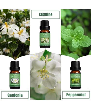 Spring Essential Oils Set for Aromatherapy and Candle Making - Gardenia, Jasmine, Peppermint, Fresh Cut Grass, Spring Rain Breeze Scent Oil - Buy Online on GoSupps.com