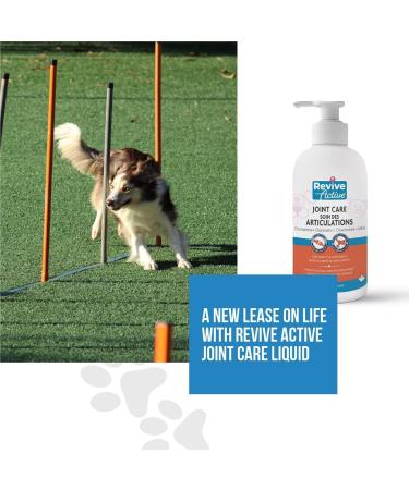 Revive Active Joint Care Liquid for Dogs and Cats 500ml Relieves Inflammation Promotes Optimal Growth and Development Joint Mobility and Good Health. Liquid 500ml - Buy Online on GoSupps.com