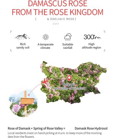 Rose Floral Water Organic Facial Skin Toner Moisturiser Hydrosol Moisturizing Hydrating Skin Caring Nourishing Water 105ml - Buy Online on GoSupps.com