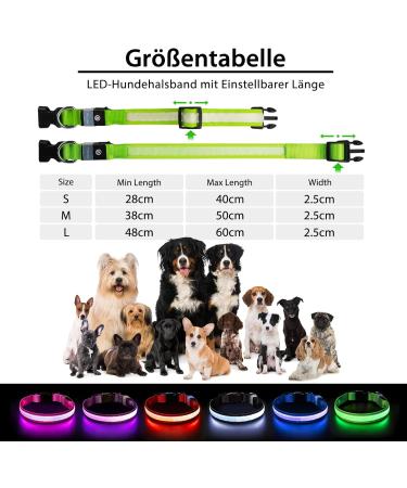 Bright Waterproof LED Dog Collar - 7 Color Changing Adjustable Light for Night Safety | PCEOTLLAR Leasthels Band Dour - Fits Small to Large Dogs (48-60cm/19-23.6inch) - 2022 Green - Buy Online on GoSupps.com