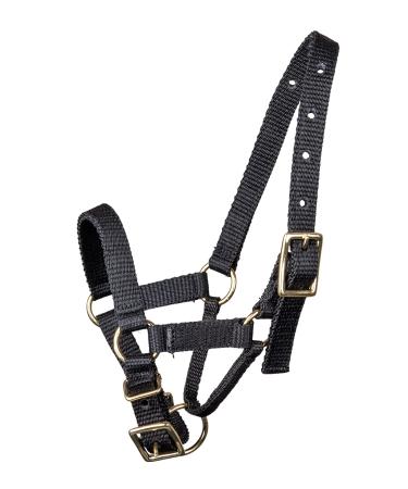 WALDHAUSEN Alpaca Headcollar Size S Black