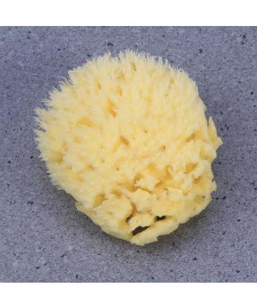 Yardwe Body Wash Scrubber Esponja para Ba arse Bath Scrubber for Body Cleaning Scrubber Skin Scrubber Bathroom Shower Ball Shower Supplies Bath Ball Baby Sponge Take a Bath Accessories - Buy Online on GoSupps.com