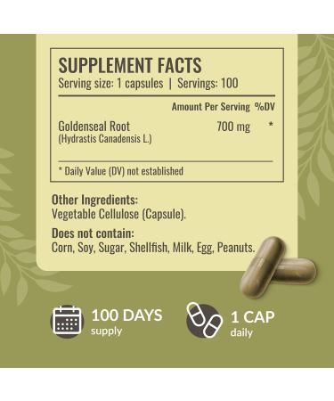 HERBAMAMA Black Elderberry and Goldenseal Kit - Bundle of Elderberry Extract Tincture & 700mg Goldenseal Root Capsules - Vegan Non-GMO Sugar & Gelatin-Free - 2 Pack - Buy Online on GoSupps.com