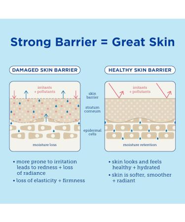Skinfix Barrier+ Triple Lipid-Peptide Lotion | Lightweight Hydrating Lotion for Skin Barrier Repair | 1.7 Fl Oz - Shop Internationally - Buy Online on GoSupps.com