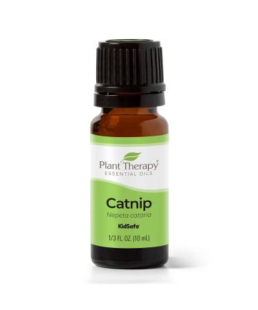Plant Therapy Catnip Essential Oil 100% Pure Undiluted Natural Aromatherapy Therapeutic Grade 10 mL (1/3 oz)