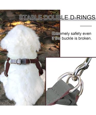 Rennaio No Pull Dog Harness & Leash Set - Adjustable Puppy Dishes with Clips | Ultra Comfortable for Small & Medium Dogs (Brown Size S) - Buy Online on GoSupps.com