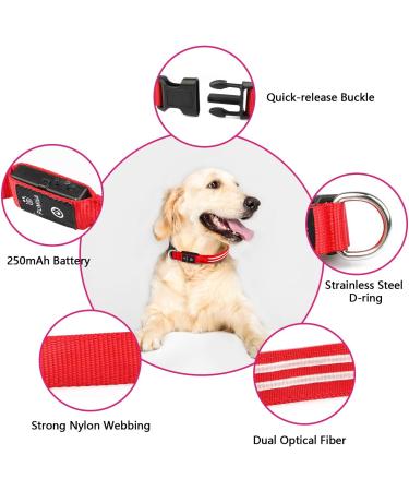 Buy Waterproof Luminous Dog Collar - Adjustable LED Flashing Light for Small & Medium Dogs | Enhanced Night Visibility (Red 28-40cm) - Buy Online on GoSupps.com