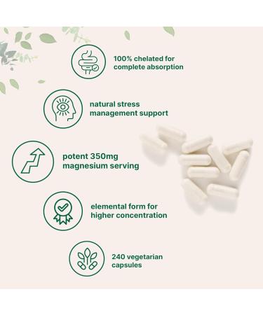 Micro Ingredients Magnesium Glycinate 350mg Per Serving 240 Veggie Capsules | Potent Elemental Form 100% Chelated Highly Bioavailable | Healthy Muscle Bones & Mood Support Supplement | Non-GMO - Buy Online on GoSupps.com