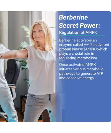 Berberine Gummies with Ceylon Cinnamon 1200mg Berberine HCI Supplement for Metabolism and Energy Support Vegan Gelatin-Free - 60 Count 60 Count (Pack of 1) - Buy Online on GoSupps.com