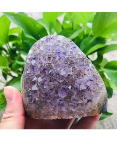200g-2000g Natural Amethyst Geode Quartz Cluster Crystal Specimen Stone 1pc Suitable for Home Room Decoration FUZEGRDLI (Size : 470g-600g 1pc) - Buy Online on GoSupps.com