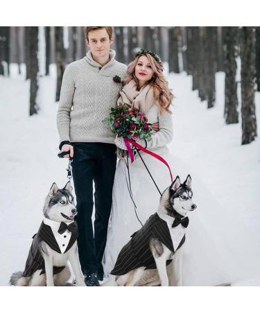 Kuoser Dog Smoking Suit & Bandana Set | Formal Pet Clothes for Dogs - Perfect for Weddings Halloween & Birthday Parties (S-XXL 51 cm Striped) - Buy Online on GoSupps.com