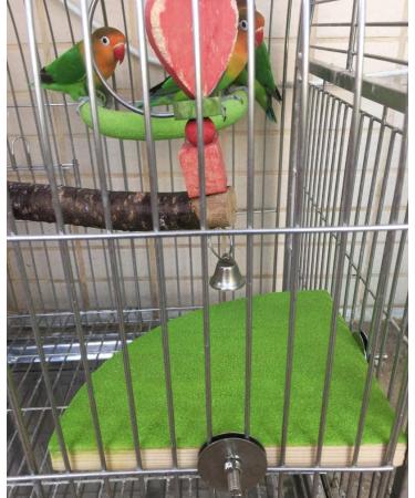 KINTOR 7-inch Green Bird Perch Stand for Small Medium Birds and Small Animals - Buy Online on GoSupps.com