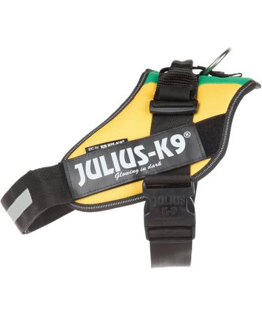 Shop IDC Powerharness XL/2 in Vibrant Lithuanian Colors | International Shipping Available - Buy Online on GoSupps.com