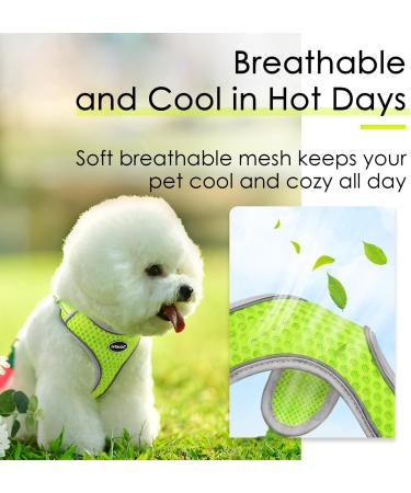 Thinkpet No-Pull Dog Harness & Leash Set | Breathable Adjustable Safety Harness for Small Medium & Large Dogs - Padded & Reflective Yellow (1 Pack) - Buy Online on GoSupps.com