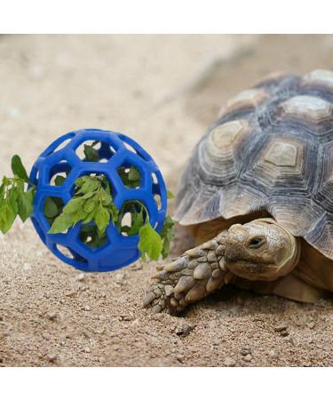 Tortoise Treat Ball Feeding Vegetable - Aquatic Turtle Toy & Feeder for Tank - Snail Habitat Accessories in Blue - Buy Online on GoSupps.com