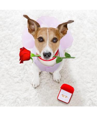 Luxury Dog Wedding Dress - Purple Princess Puppy Skirt & Evening Dresses | Summer Bowknot Dog Clothing for Small Dogs (M) - Buy Online on GoSupps.com