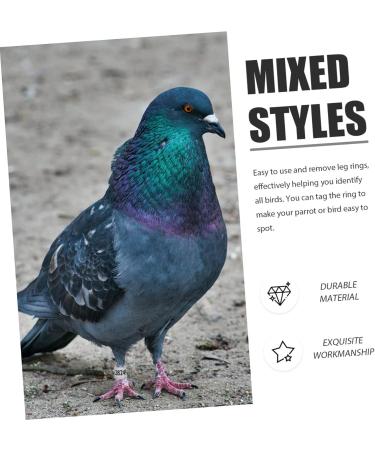 Mipcase 300 pcs Pigeon D Distinguish Private Tool Bands- Lovebirds Ringd Pigeons Homing - Marker Place 1.1x0.8cm x3pcs Colorfulx3pcs - Buy Online on GoSupps.com