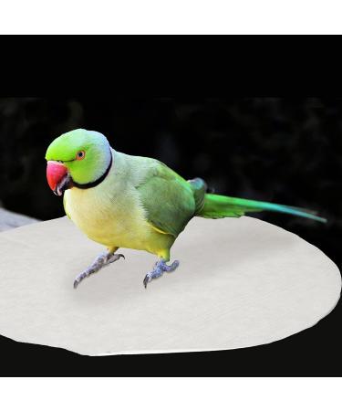 UKCOCO Disposable Birdcage Liner Paper- 30 * 30cm Absorbent Pad Non Woven Pet Cage Accessories/Birdcage Waterproof Sandpaper/Absorbent Parrot Cage Pad/Birdcage Pad Paper Dung Pad (100Pcs) 30X30CM - Buy Online on GoSupps.com