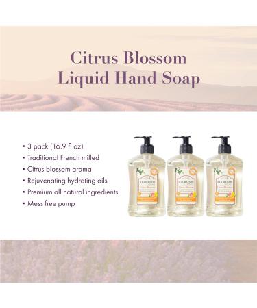A LA MAISON Citrus Blossom Liquid Hand Soap - Triple French Milled Moisturizing Soap 16.9 oz (Pack of 3) - Buy Online on GoSupps.com