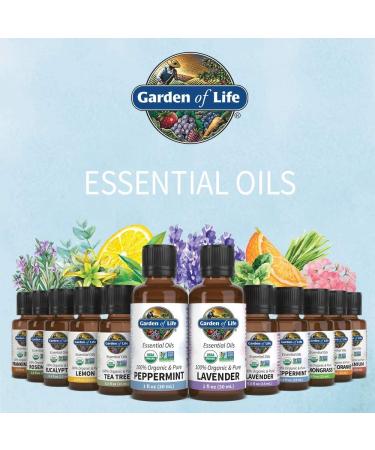 Garden of Life Organic Essential Oils Starter Pack â€“ Lavender, Peppermint, Lemon, Tea Tree â€“ 100% Pure, Non-GMO, Aromatherapy Diffuser â€“ 2 Fl Oz - Buy Online on GoSupps.com