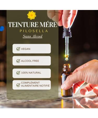 Vonderweid - Pilosella Alcohol Free Mother Tincture | Glycerin Macerate | Pilosella Drainage | Ultrasonic Extraction | Pilosella Hieracium Supplement | Vegan Alcohol Free | 100ml - Buy Online on GoSupps.com