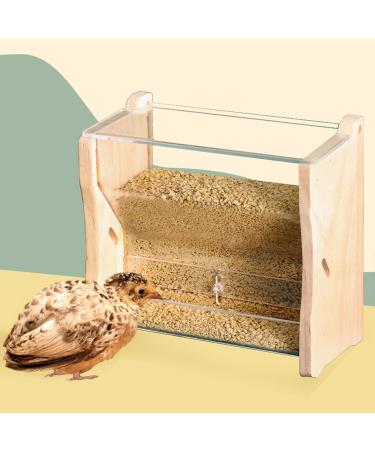 Buy Tnfeeon Automatic Chicken Feed Dispenser - Large Capacity Clear Acrylic Feed Box for Budgies Quails & Nymphics - International Shipping Available - Buy Online on GoSupps.com
