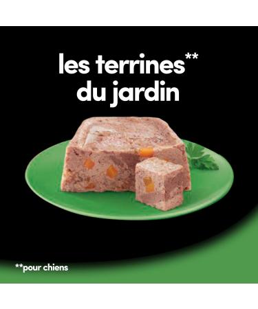 Cesar Barquettes Les Terrines du Jardin Wet food for dogs Meat with vegetables Pack of 16 trays x 300 g - Buy Online on GoSupps.com