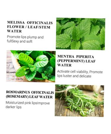 HAKIDZEL Hydrating Plumping Moisturizing Lip Care Oil for Smooth Lips Lightweight Easy to Carry Lip Supply for Women - Buy Online on GoSupps.com