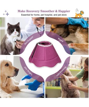 VAVOPAW SCHTECHRIFE Adjustable Protective Collar for Dogs & Cats - Breathable Leash-Proof & Recyclable Neckband - Buy Online on GoSupps.com