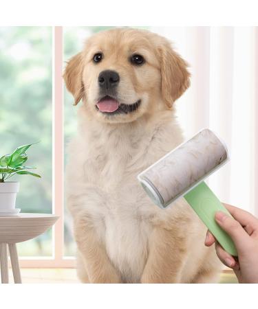 Pet Hair Collector Washable Clothes Hair Sticky Collector Ergonomic Design Household Supplies Green - Buy Online on GoSupps.com