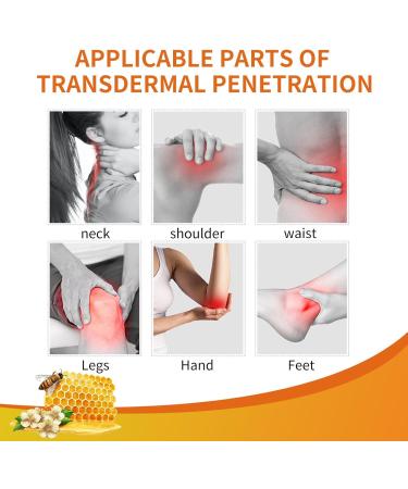 2-Pack Aeehfeng Bee Venom Joint Therapy Gel - Pain Relief with New Zealand Bee Venom - 30g Professional Treatment - Buy Online on GoSupps.com