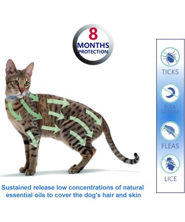 Fipukin Natural Flea & Tick Collar for Cats - Waterproof, Safe, One Size Fits All - 2-Pack with Free Comb & Tick Removal Tool - Supports Charity - Buy Online on GoSupps.com