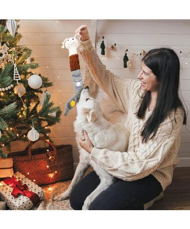 Intelligence Dog Toys | Interactive Snuffle & Squeaky Toys for Medium-Sized Puppies | International Shipping - Buy Online on GoSupps.com