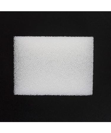 SANLILI Filter Sponge - Eheim 2008 Pickup 60 Filter Replacement (6 Pieces) | International Shipping - Buy Online on GoSupps.com