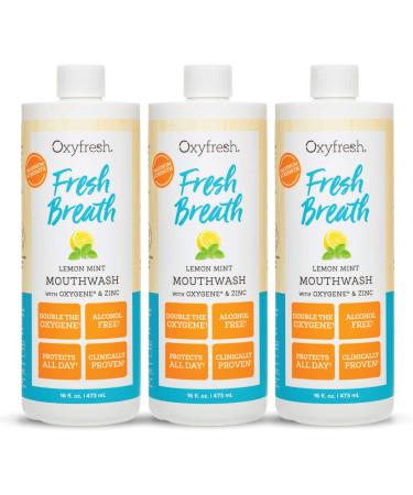 Premium Oxyfresh Lemon Mint Fresh Breath Mouthwash – Oral Rinse for Bad Breath – SLS & Fluoride Free Mouthwash – Alcohol Free, Gentle Non Burning Mouthwash with Xylitol & Essential Oils, 3 Pack16 oz Savings 3 Pack