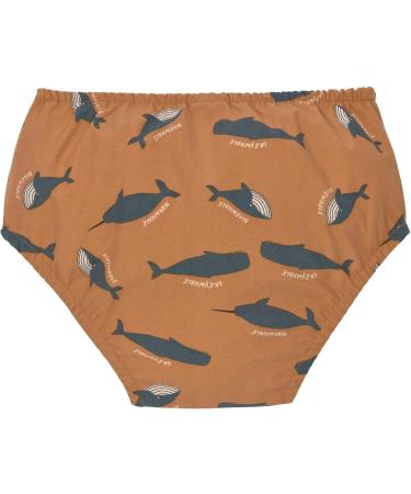 L SSIG Baby Swim Diaper Trunks - Pebbles 98 (25-36 Months) - Eco-Friendly Swimwear for Children - Buy Online on GoSupps.com
