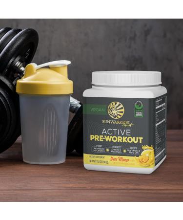 Active Preworkout Hydration Blend & Micronized Creatine Monohydrate Powder Set | Bundle & Save | Non-GMO Soy Dairy Filler & Gluten Free (50 Servings Creatine 30 Servings Yuzu Mango Pre Workout) - Buy Online on GoSupps.com